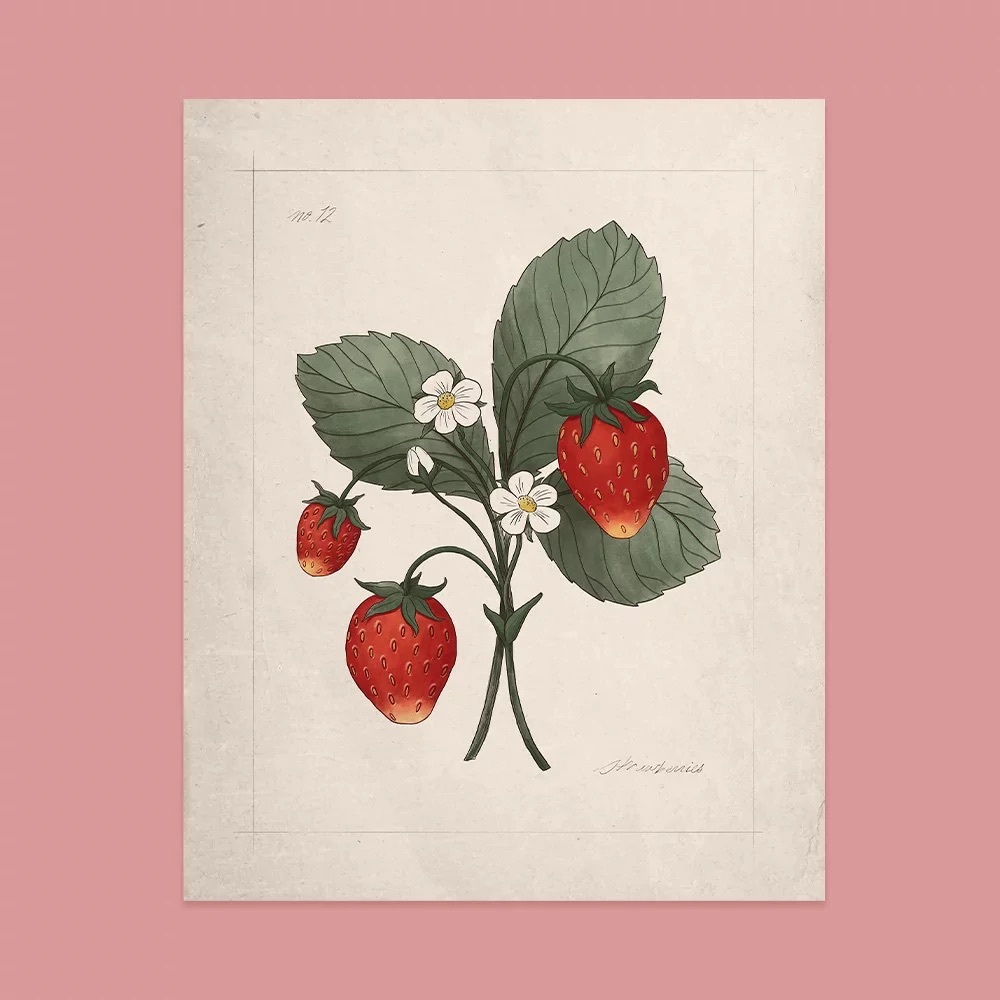 Wild Strawberry Print from the Summer 2022 Jilly Box